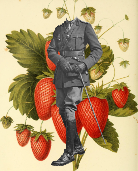 Major Strawberry